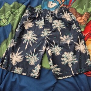 Tropical Palm Tree Print Shorts